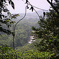 Selva Viva, Napo. Amazonía Ecuatoriana