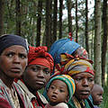 Women take a pause during their work in a tree nursery in Rwanda
