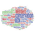 IUCN’s impact on global conservation 