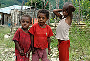 Children in Anggra-Arfak Mountains, West Papua